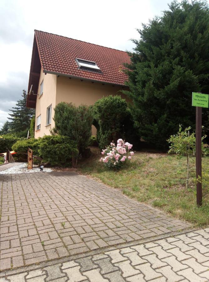 Pension "Am Zuckerberg" Brahmenau Exterior foto